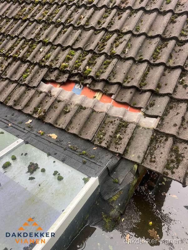 Beschadigd pannendak met ontbrekende dakpannen voor reparatie in Vianen Beschadigd pannendak met ontbrekende dakpannen voor reparatie in Vianen