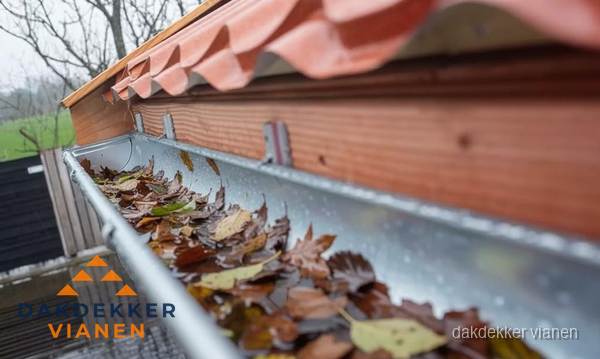 Dakgoot vol bladeren die gereinigd moet worden in Vianen