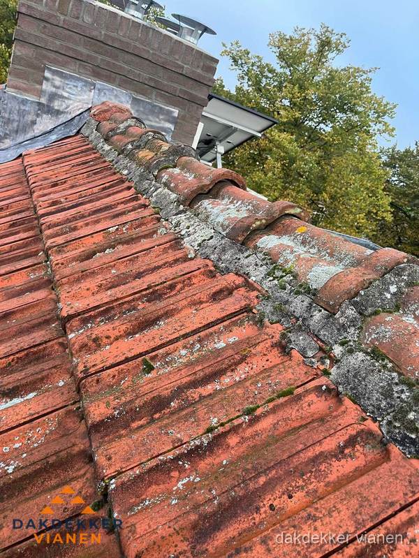 Verweerd hellend dak met mosgroei op nokvorst in Vianen
