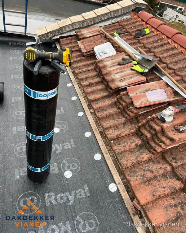 Dakschade herstel: pannendak renovatie in Vianen