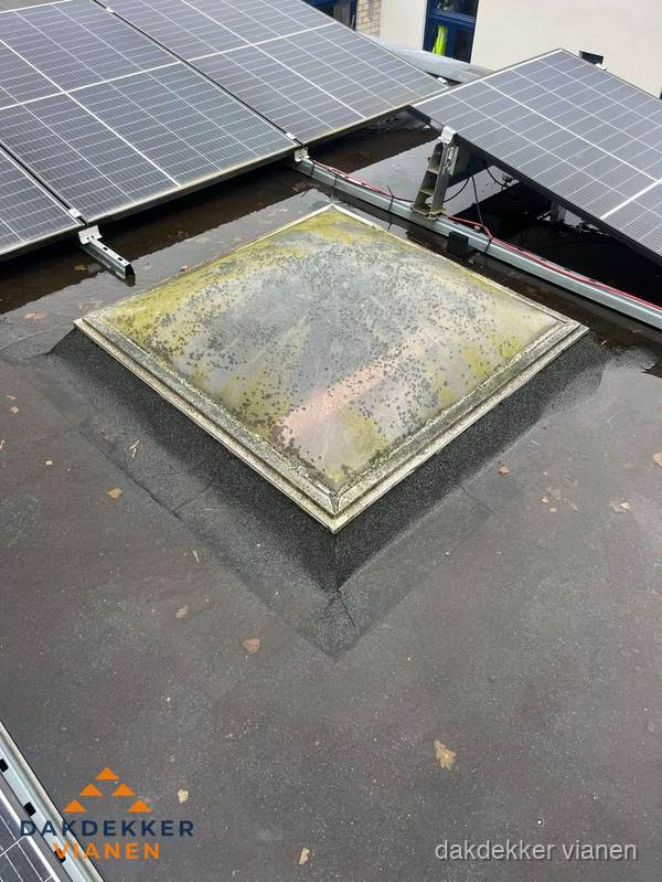 Vervuilde lichtkoepel op plat dak met zonnepanelen in Vianen
