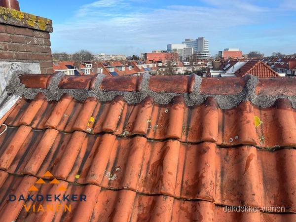 Pannendak met nokvorst en schoorsteen, dakrenovatie in Vianen
