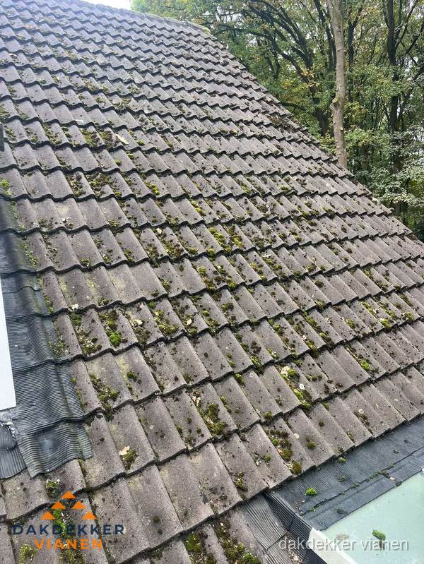 Verweerd pannendak met mosgroei dat renovatie nodig heeft in Vianen
